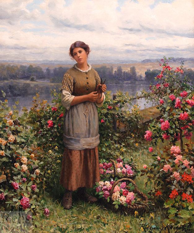 Daniel Ridgeway Knight Julia Gathering Roses Germany oil painting art
